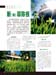 Sky-May29_Page-34